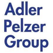 Adler-Pelzer-Group-logomarca-michelon-energia